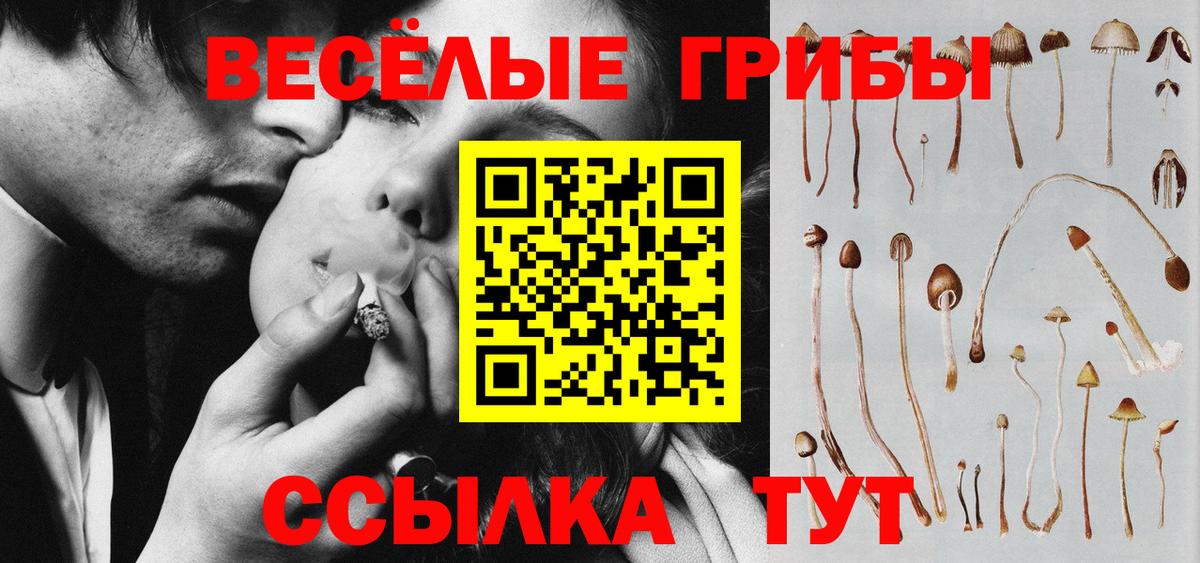 Галлюциногенные грибы Magic Shrooms Кириши