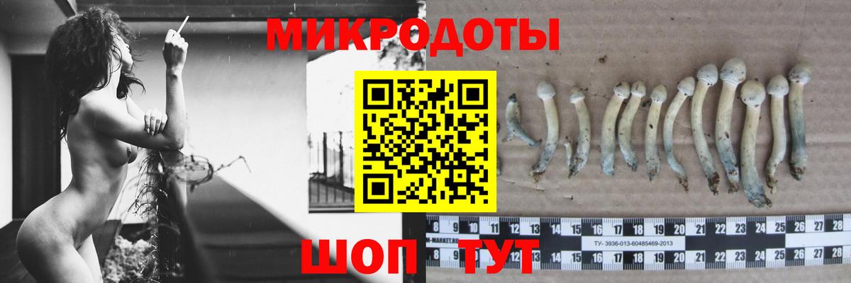 Псилоцибиновые грибы ЛСД  Вход с VPN  Кириши 